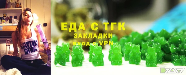 ECSTASY Алзамай