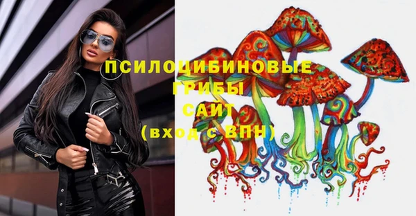 ECSTASY Алзамай