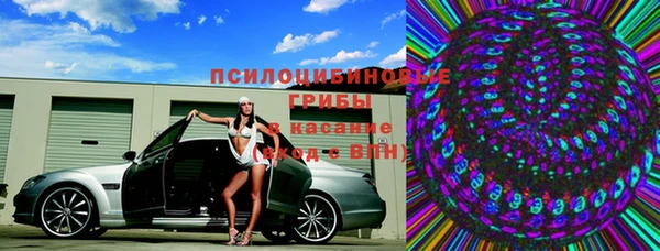 ECSTASY Алзамай
