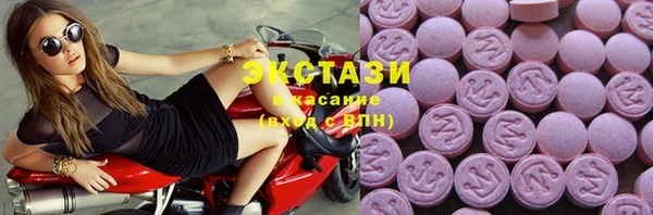 ECSTASY Алзамай
