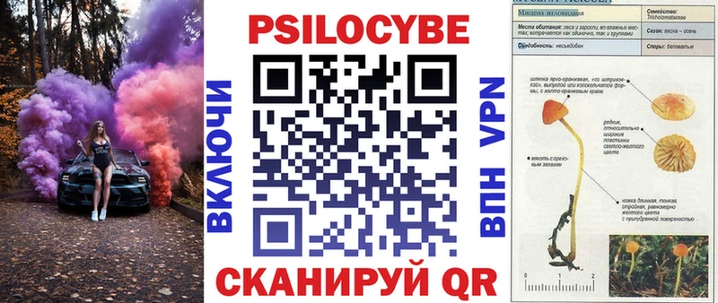 ОМГ ОМГ зеркало  продажа наркотиков  Апрелевка  Галлюциногенные грибы мицелий 